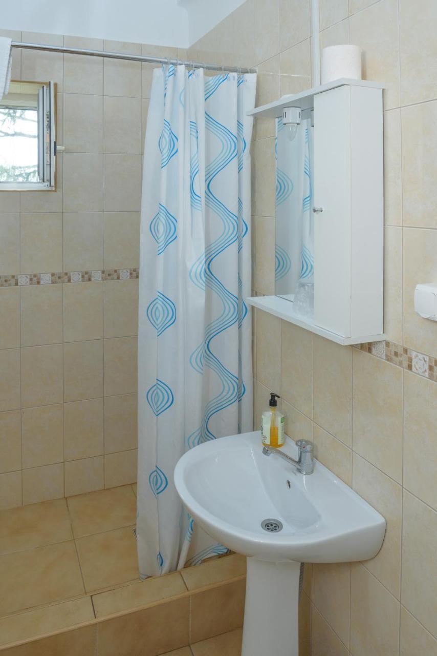 Pensiunea Tranzit Satu Mare Zewnętrze zdjęcie